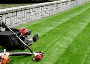 lawn mowing box hill nsw gardening service